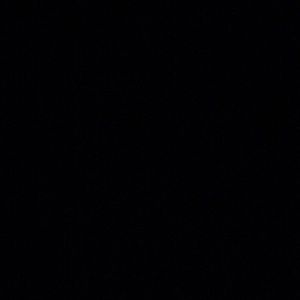 Meet your Posher, Terry